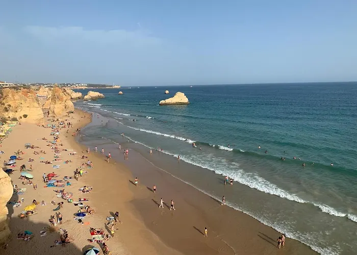 Ocean Coast ポルティマン