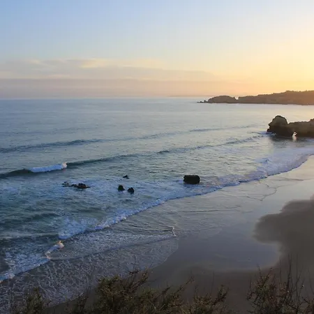 Ocean Coast 公寓 波尔蒂芒