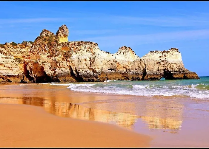 Appartamento Ocean Coast *